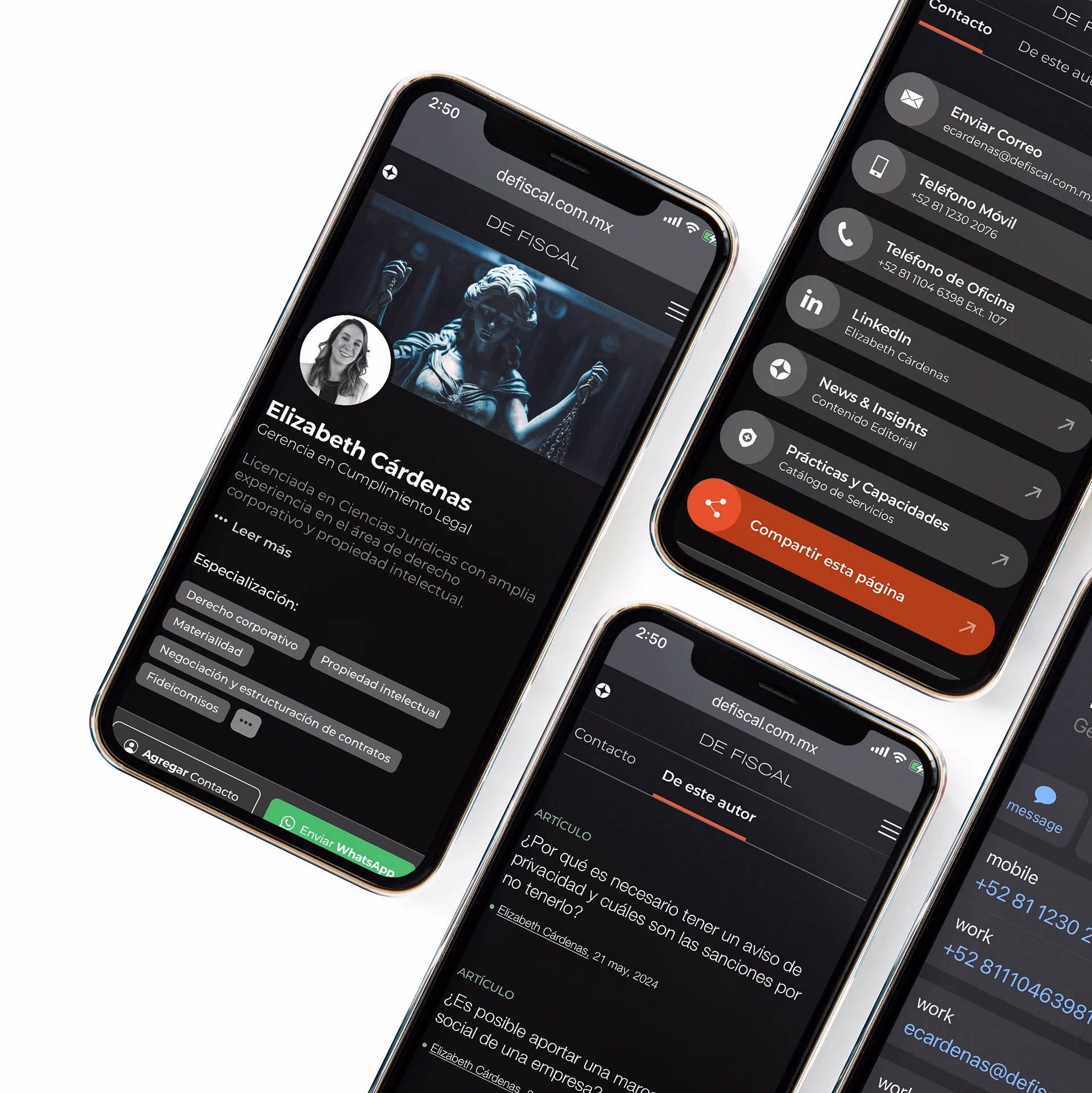 De Fiscal Reading Interface